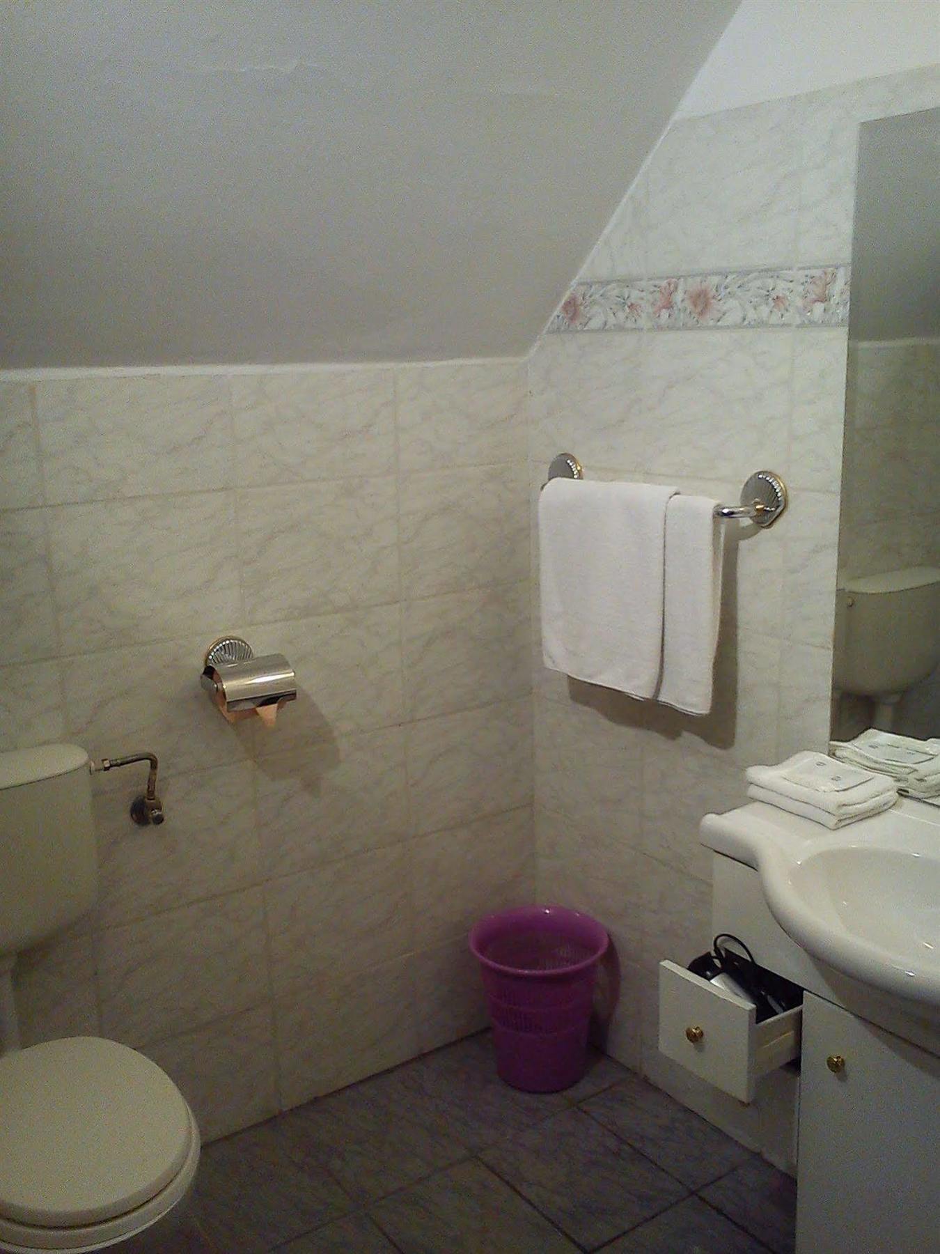 Nr 100 Szentendre Hotel Panzio Szolgaltatasok מראה חיצוני תמונה